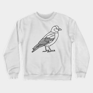 Jackdaw Crewneck Sweatshirt